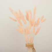 50 Stems 15" Rabbit Tail Dried Natural Pampas Grass Sprays