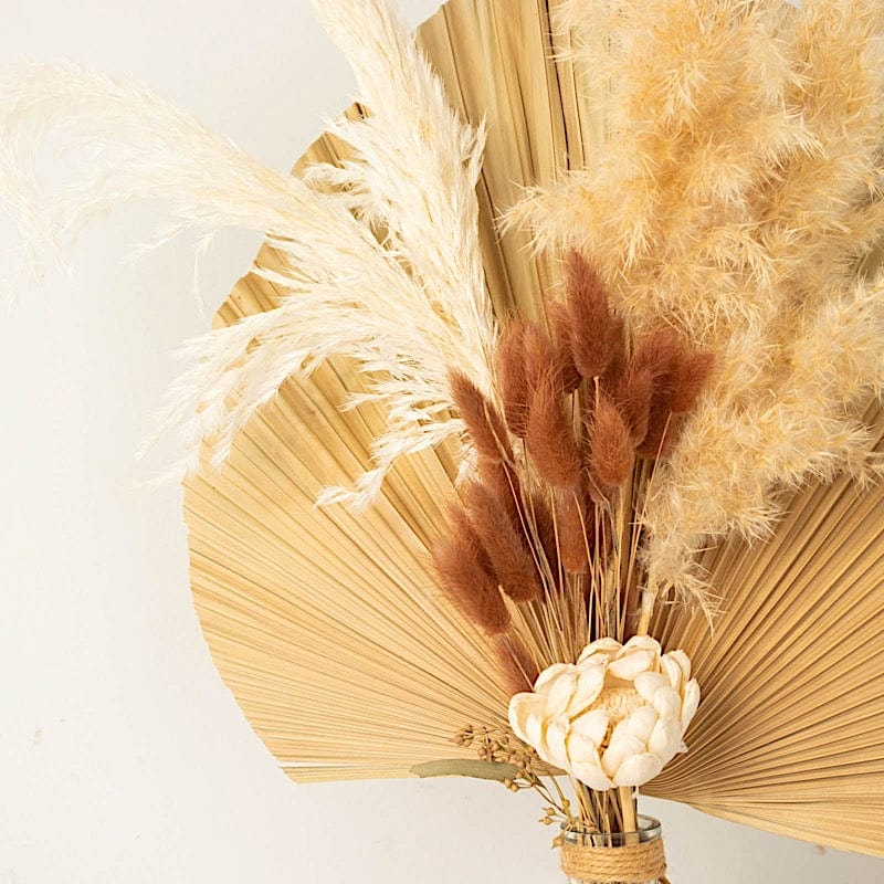 50 Stems 15" Rabbit Tail Dried Natural Pampas Grass Sprays