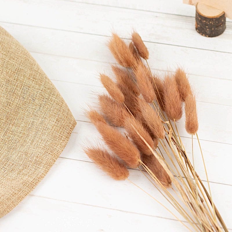 50 Stems 15" Rabbit Tail Dried Natural Pampas Grass Sprays