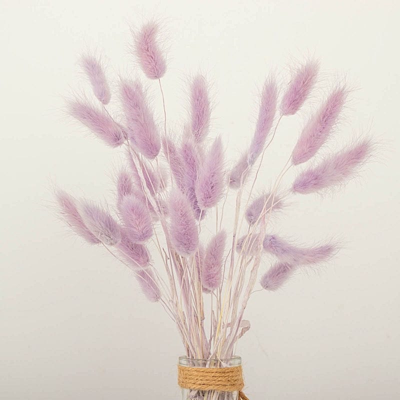 50 Stems 15" Rabbit Tail Dried Natural Pampas Grass Sprays