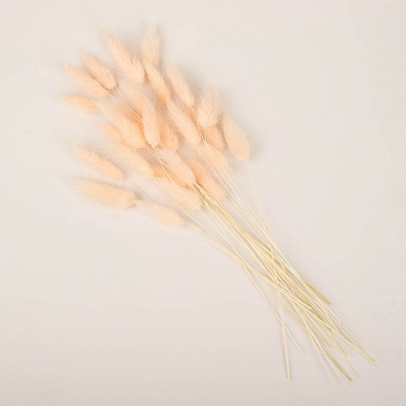 50 Stems 15" Rabbit Tail Dried Natural Pampas Grass Sprays ARTI_PAMP_003_M_046