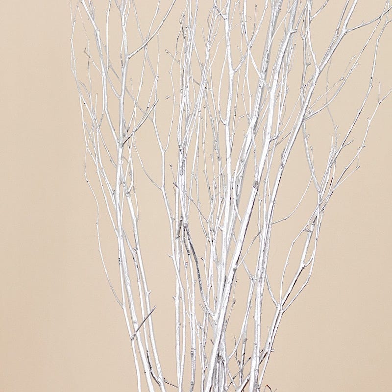 6 Decorative Birch Tree Branches - White