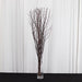 6 Decorative Birch Tree Branches - White