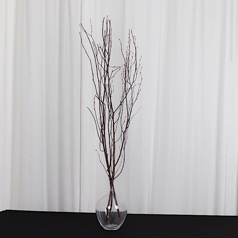 6 Decorative Birch Tree Branches - White