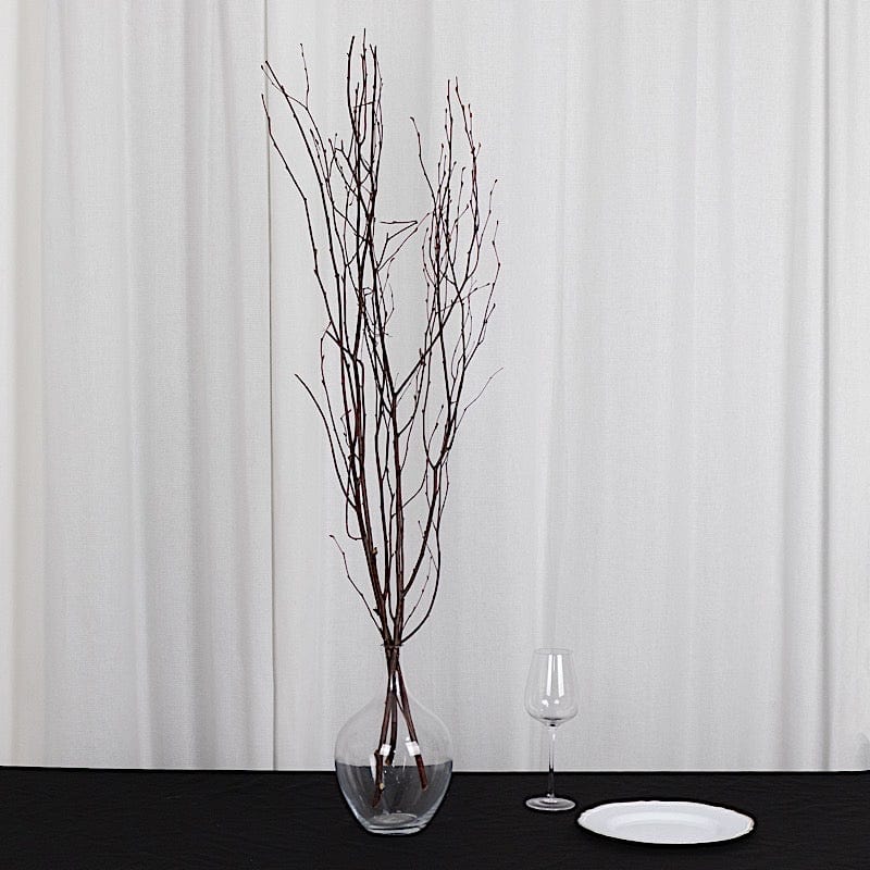 6 Decorative Birch Tree Branches - White