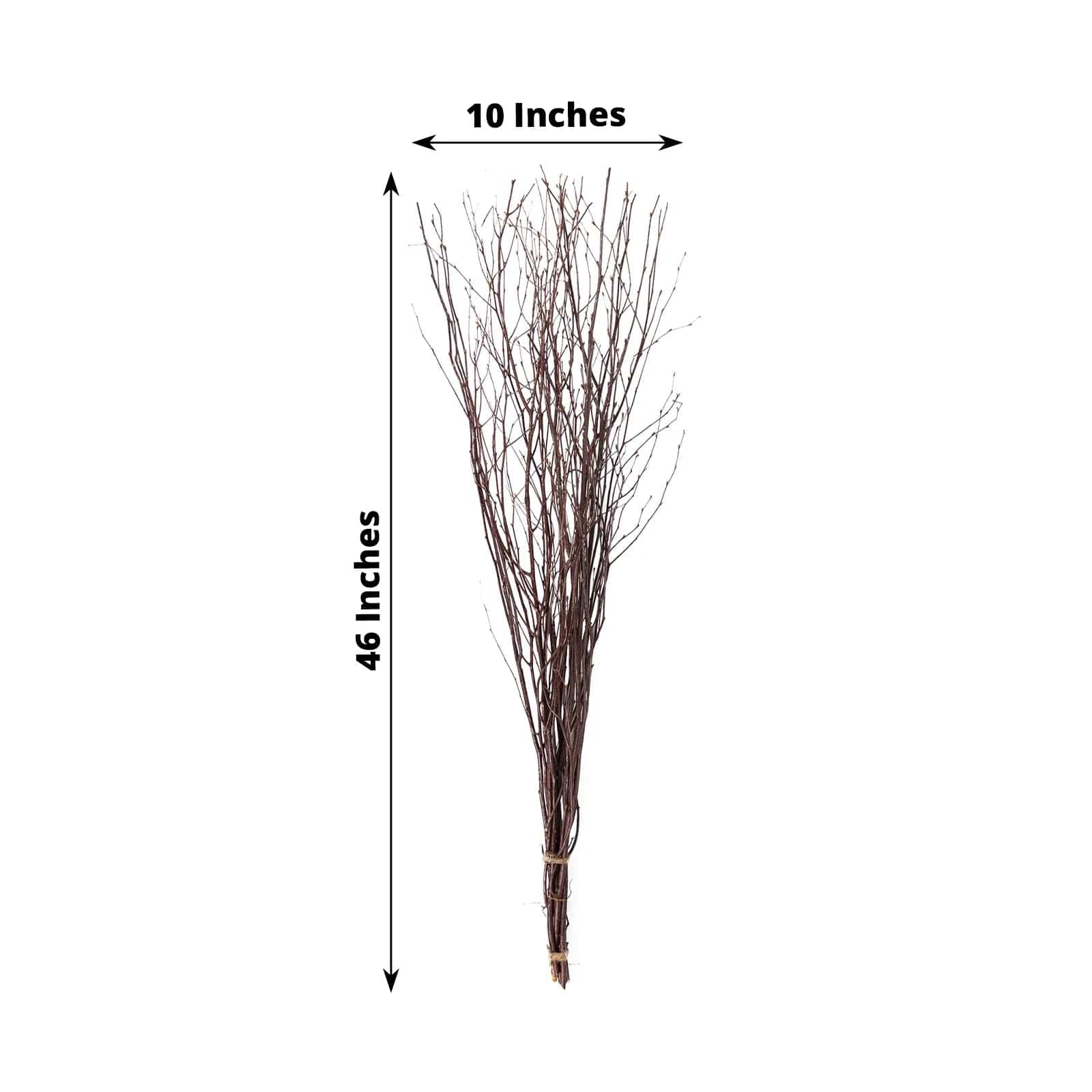 6 Decorative Birch Tree Branches - White