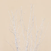 6 Decorative Birch Tree Branches - White