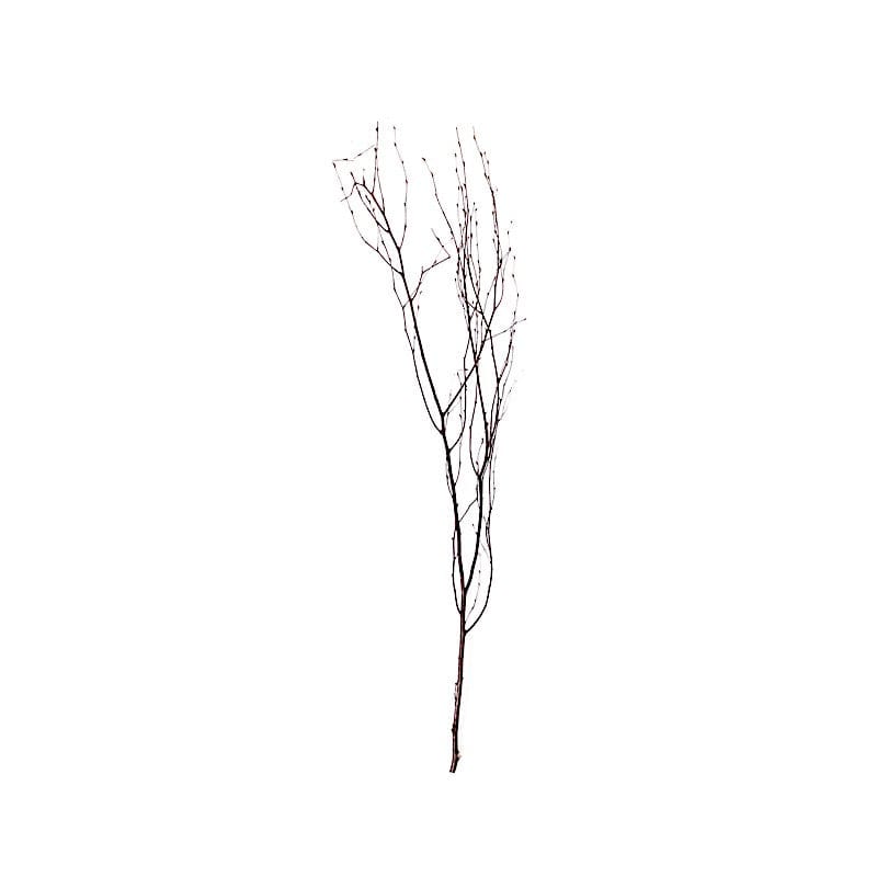 6 Decorative Birch Tree Branches - White