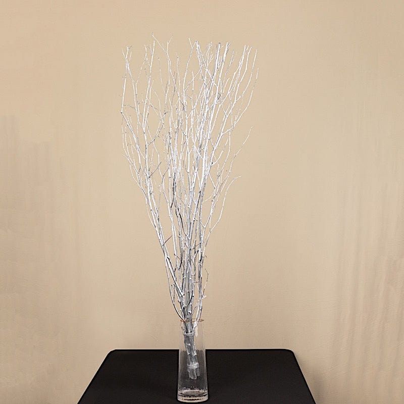 6 Decorative Birch Tree Branches - White