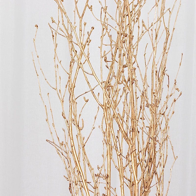 6 Decorative Birch Tree Branches - White