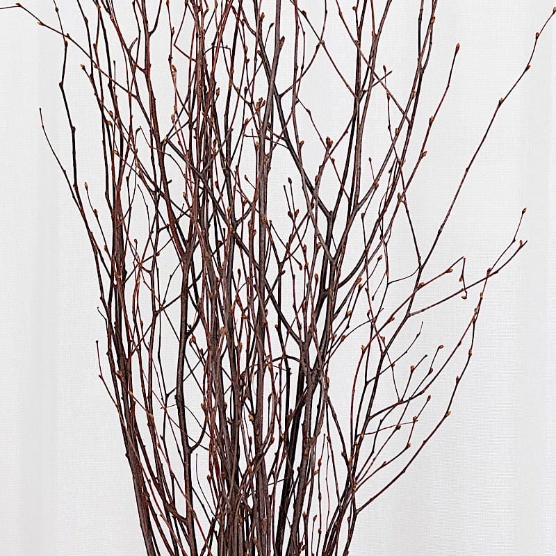 6 Decorative Birch Tree Branches - White