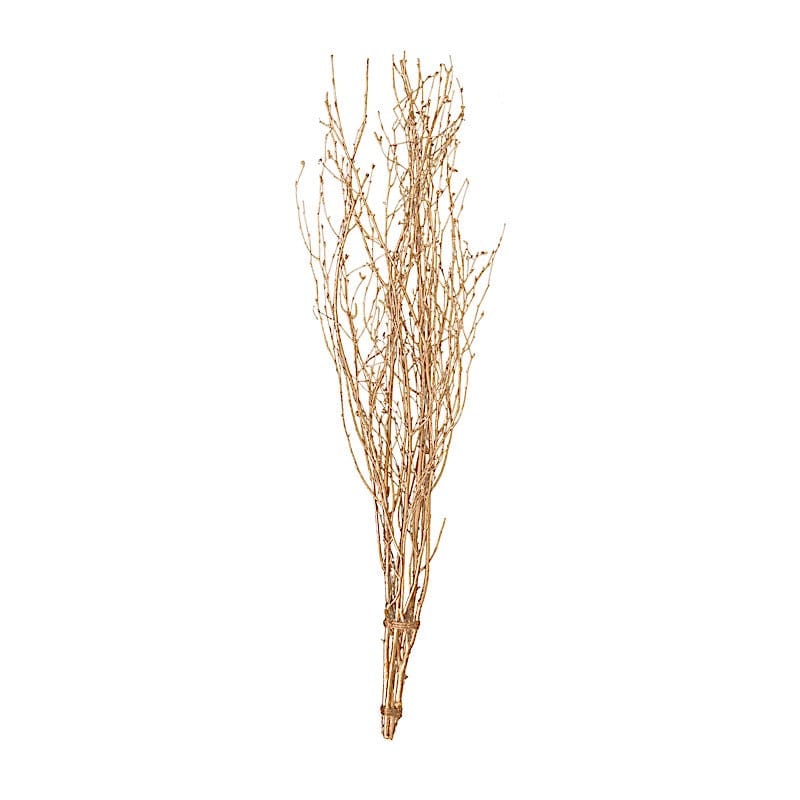 6 Decorative Birch Tree Branches - White