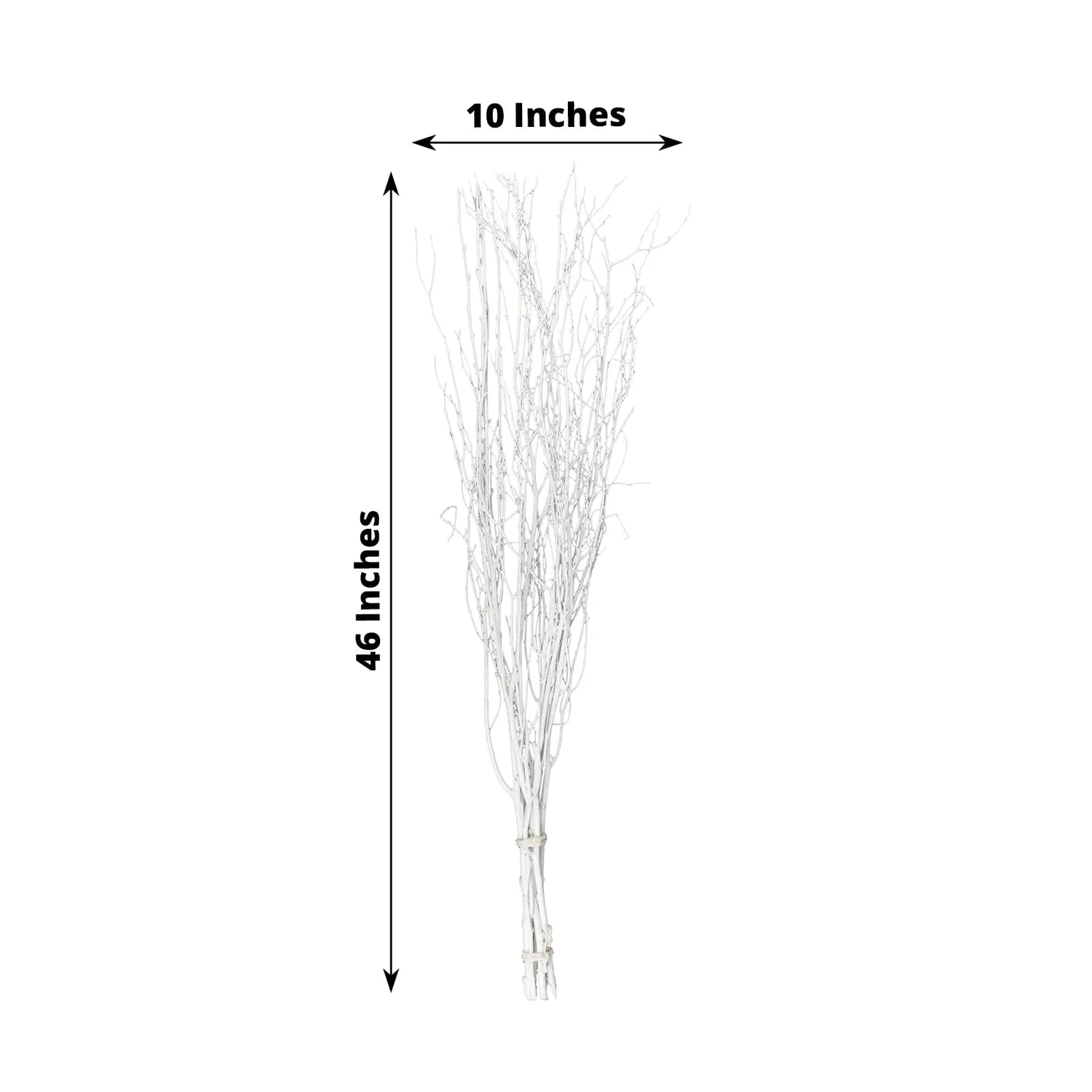 6 Decorative Birch Tree Branches - White