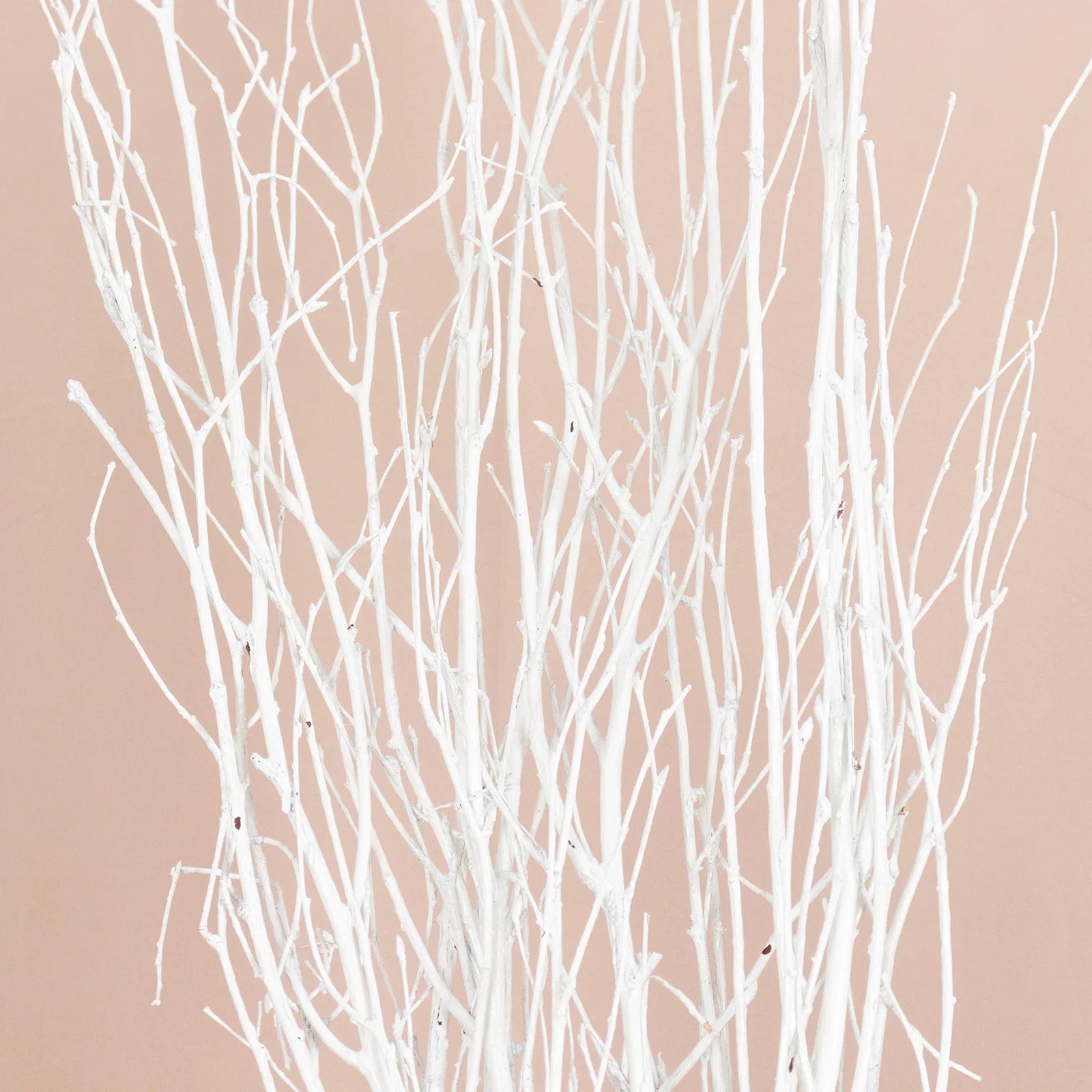 6 Decorative Birch Tree Branches - White