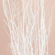 6 Decorative Birch Tree Branches - White
