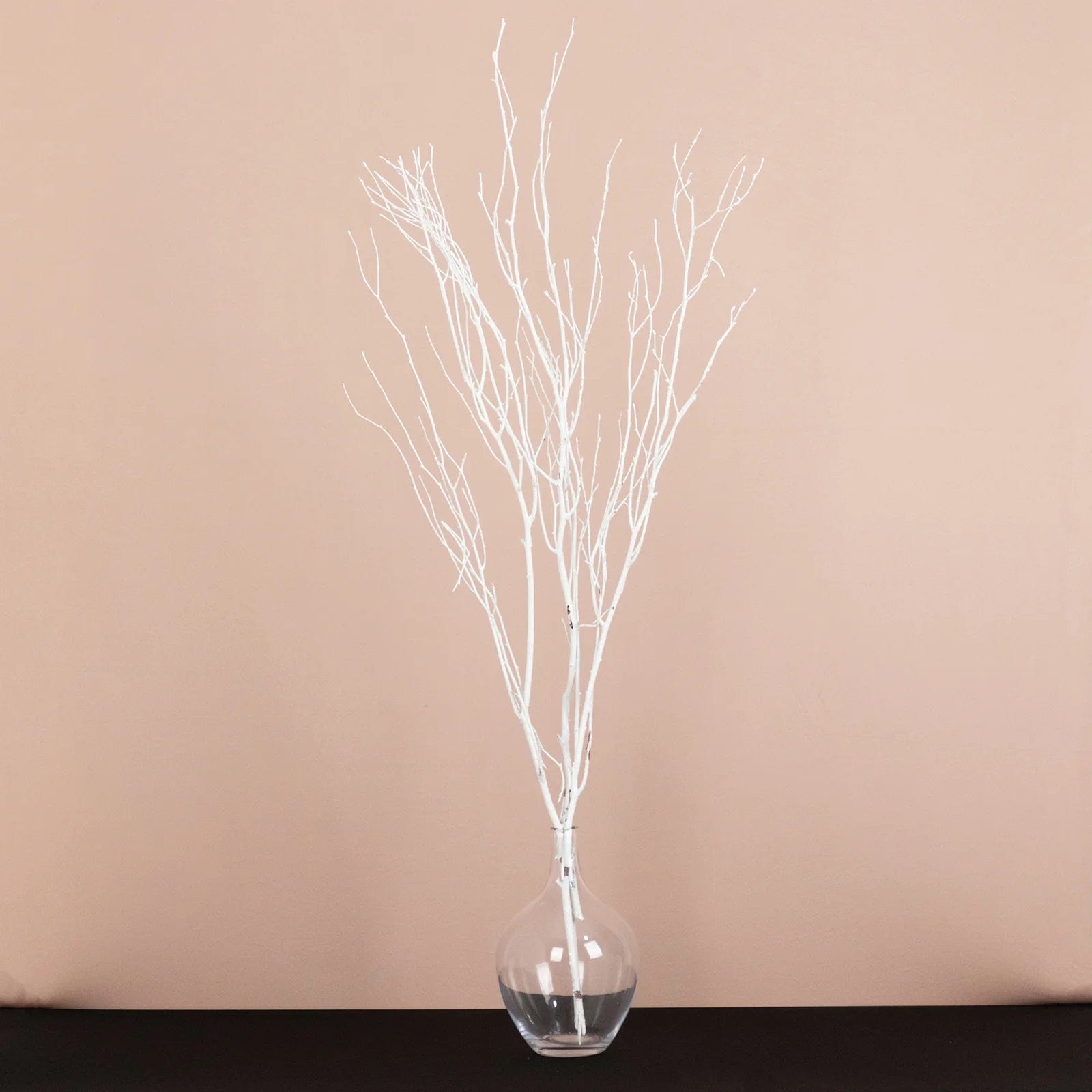 6 Decorative Birch Tree Branches - White