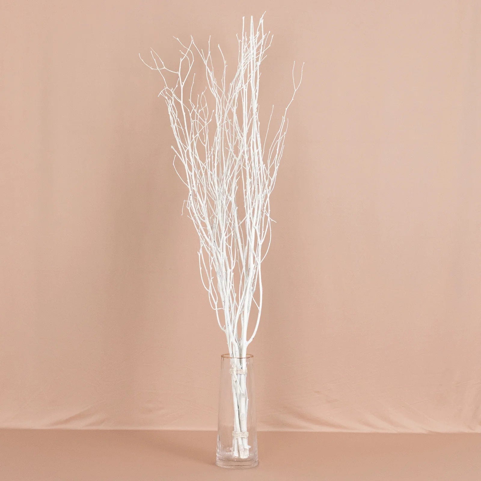 6 Decorative Birch Tree Branches - White