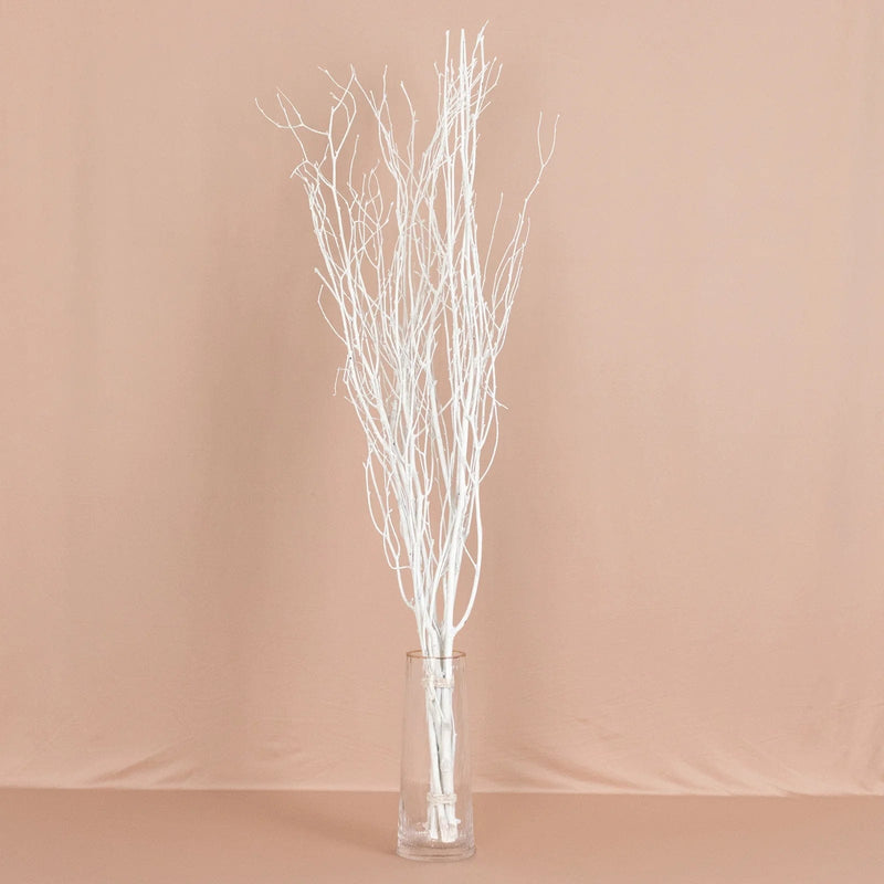 6 Decorative Birch Tree Branches - White