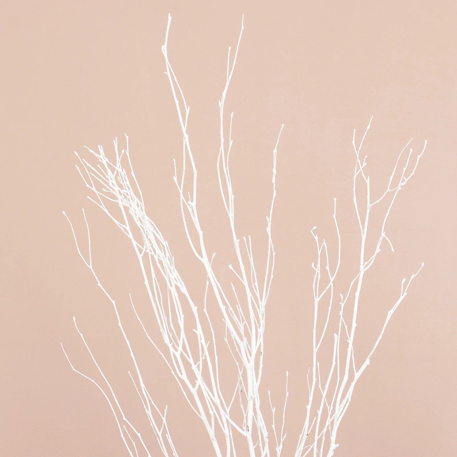 6 Decorative Birch Tree Branches - White