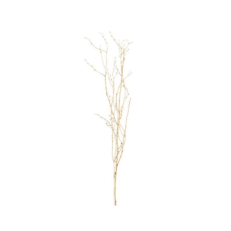 6 Decorative Birch Tree Branches - White ARTI_BRCH02_46_GOLD