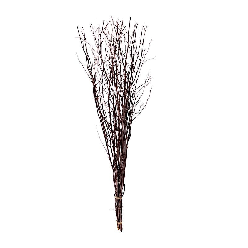 6 Decorative Birch Tree Branches - White ARTI_BRCH02_46_NAT