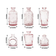 6 Decorative Glass Flower Vases with Embossed Vintage Design