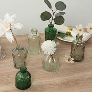 6 Decorative Glass Flower Vases with Embossed Vintage Design