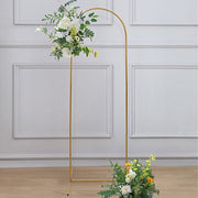 6 ft Metal Round Top Chiara Wedding Arch Backdrop Stand - Gold IRON_STND18_C_GOLD