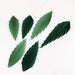6 Leaves Hanging Paper Fans Wall Decor - Green PAP_FLO_LEAF01_MIXGN