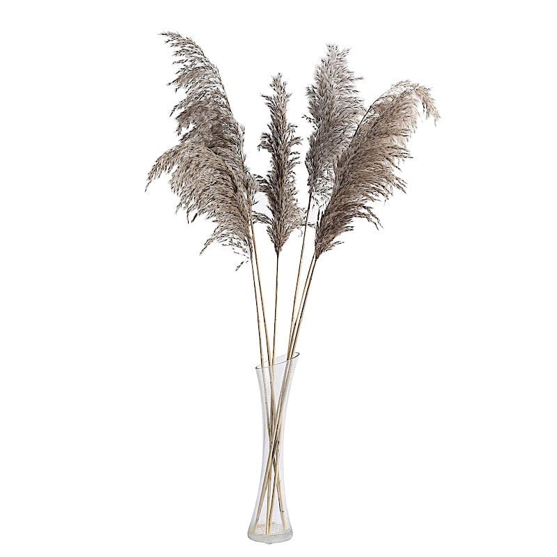 6 pcs 32" Natural Pampas Grass Sprays Dried Plant Stems
