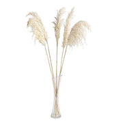 6 pcs 32" Natural Pampas Grass Sprays Dried Plant Stems