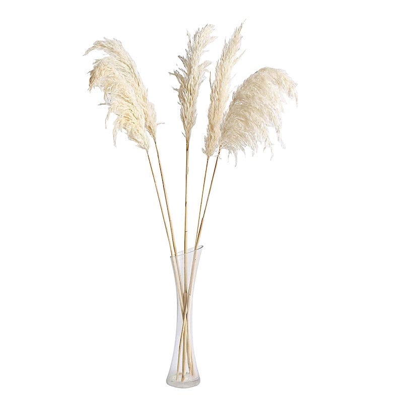 6 pcs 32" Natural Pampas Grass Sprays Dried Plant Stems