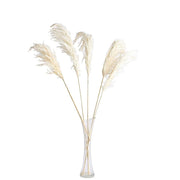 6 pcs 32" Natural Pampas Grass Sprays Dried Plant Stems