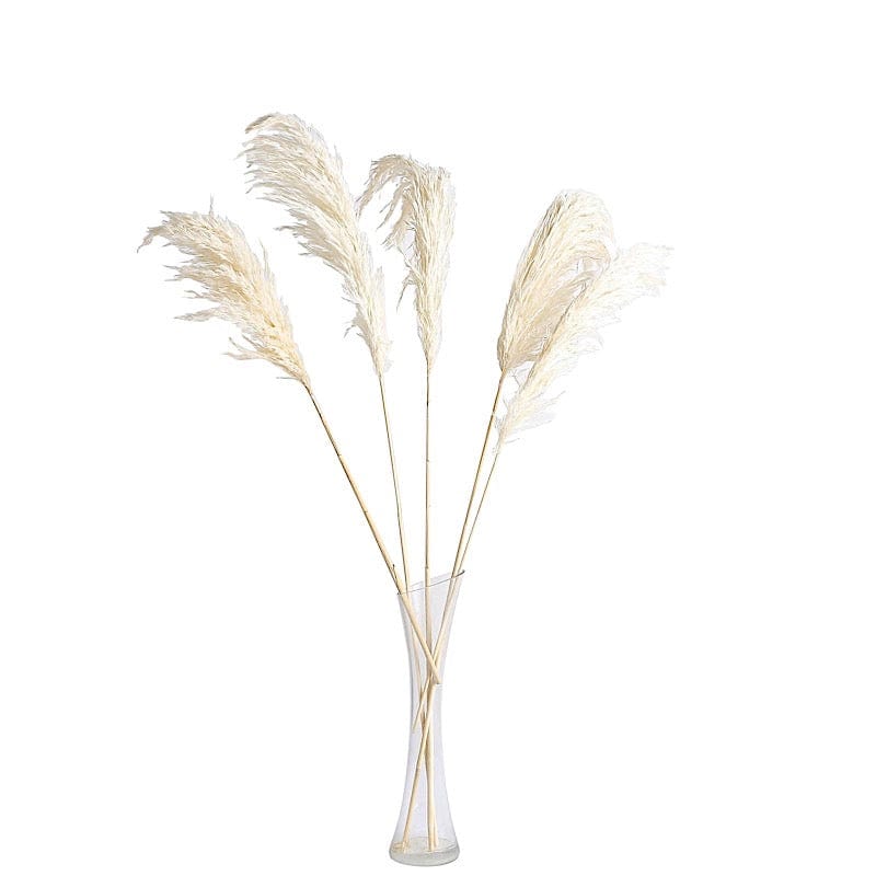 6 pcs 32" Natural Pampas Grass Sprays Dried Plant Stems