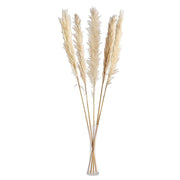 6 pcs 49" Natural Pampas Grass Sprays Dried Plant Stems