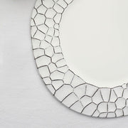 6 Plastic 13" Irregular Round Charger Plates with Giraffe Pattern Rim