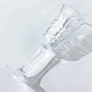 6 Shatterproof Plastic Wine Glasses with  Embossed Leaf Pattern - Clear DSP_CUWN010_10_CLR