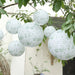 8 Chinoiserie Floral Print Hanging Paper Lanterns