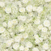 8 ft x 4 ft Roll Up Silk Roses and Baby's Breath Artificial Flower Wall Backdrop