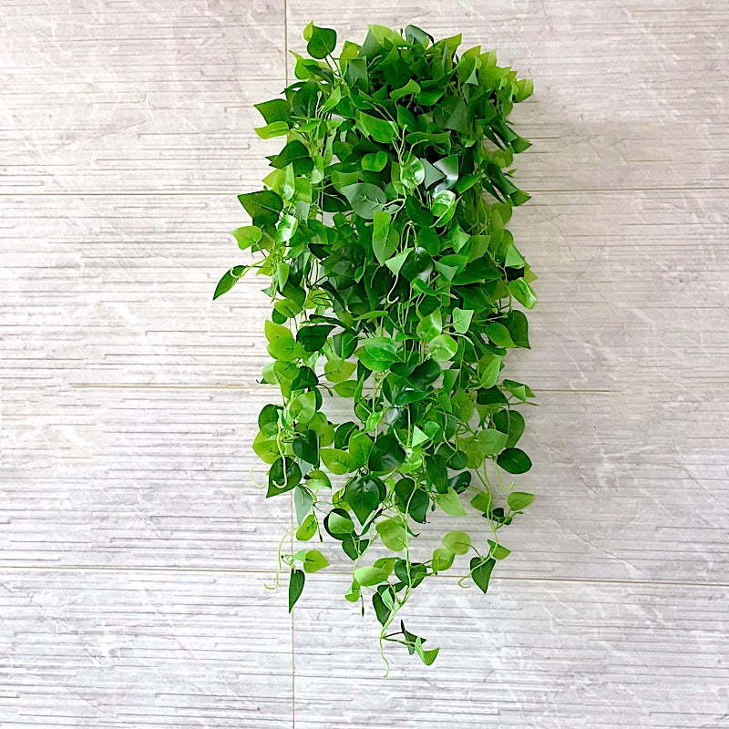 3 Silk Pothos Artificial Hanging Plants - Green