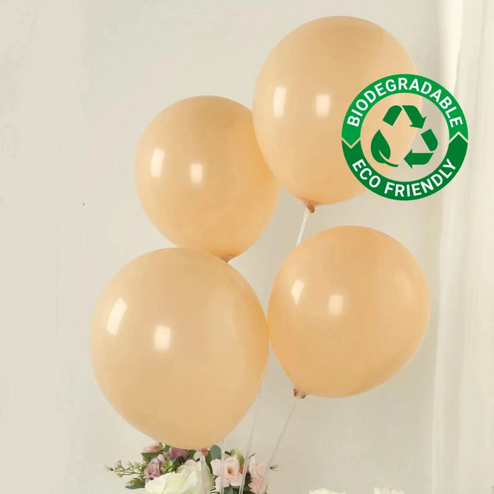 50 Matte Pastel Biodegradable Balloons