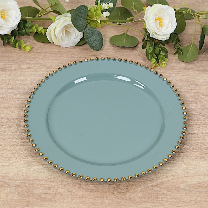 10 Round Plastic Salad Dinner Plates with Beaded Rim - Disposable Tableware