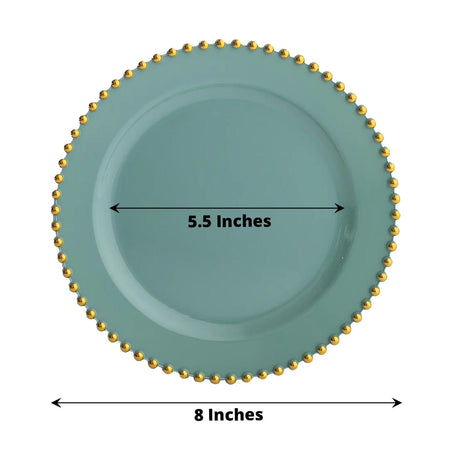 10 Round Plastic Salad Dinner Plates with Beaded Rim - Disposable Tableware
