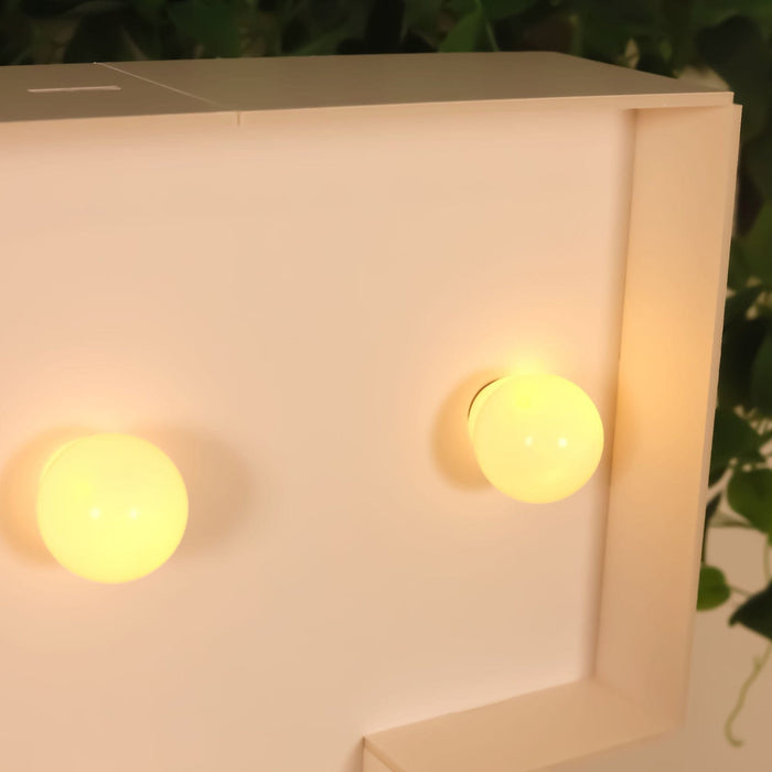 4ft XL LED Marquee Letter Foam Board with 10 Warm White Battery Operated LEDs - White