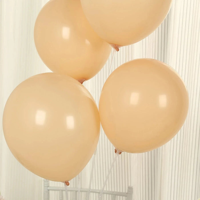 50 Matte Pastel Biodegradable Balloons