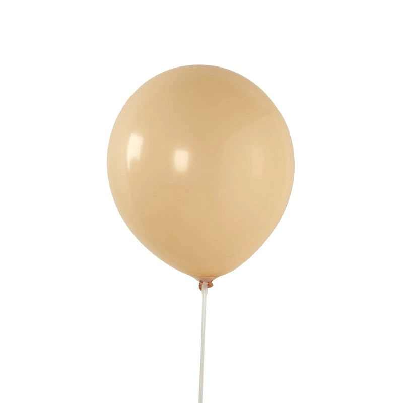 50 Matte Pastel Biodegradable Balloons