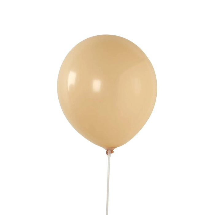50 Matte Pastel Biodegradable Balloons