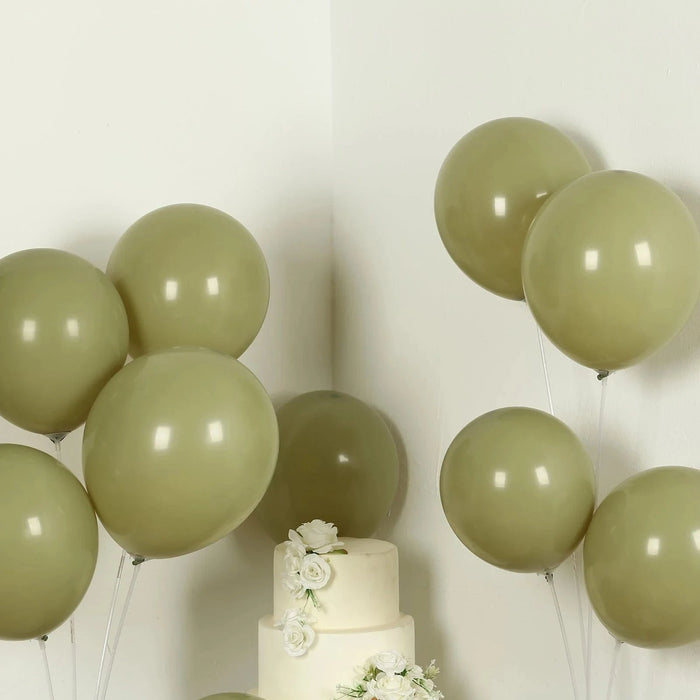 50 Matte Pastel Biodegradable Balloons