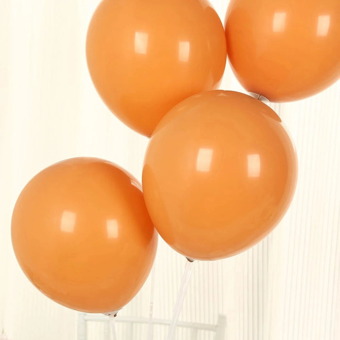 50 Matte Pastel Biodegradable Balloons