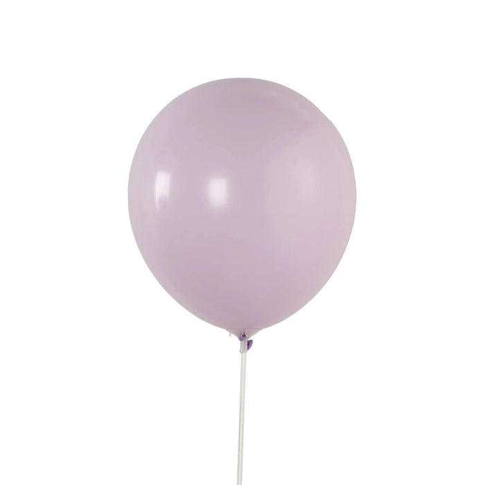 50 Matte Pastel Biodegradable Balloons